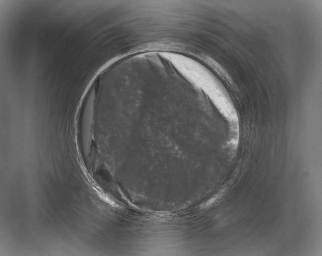 X0000081570854200702121420