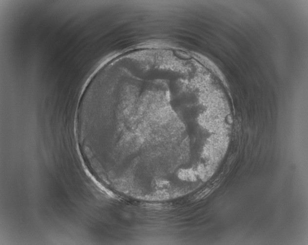 X0000081570855200702121420