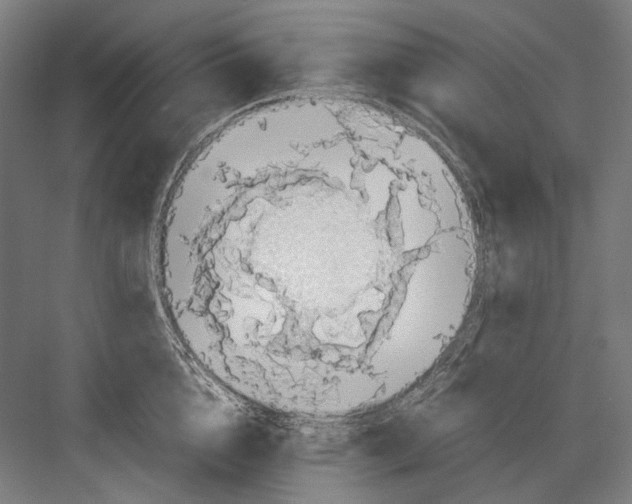 X0000081570856200702121420