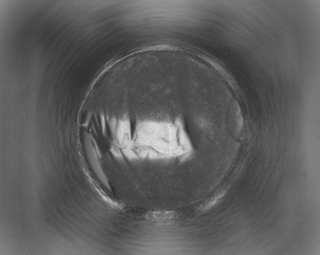 X0000081570858200702121420