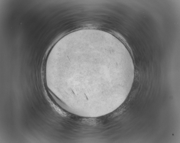 X0000081570859200702121420