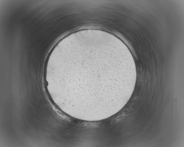 X0000081570861200702121420