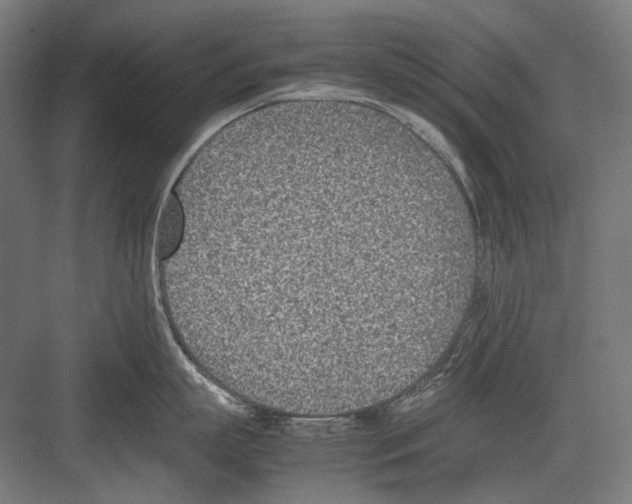 X0000081570863200702121420