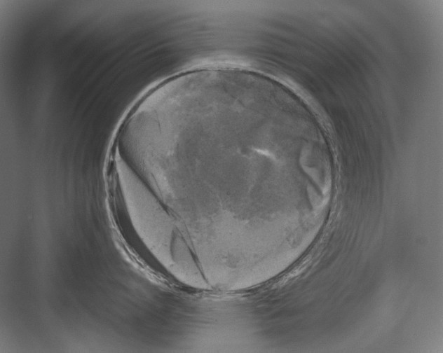 X0000081570864200702121420