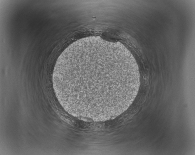 X0000081570865200702121419