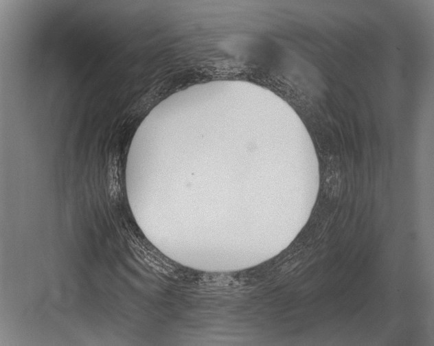 X0000081570866200702121419