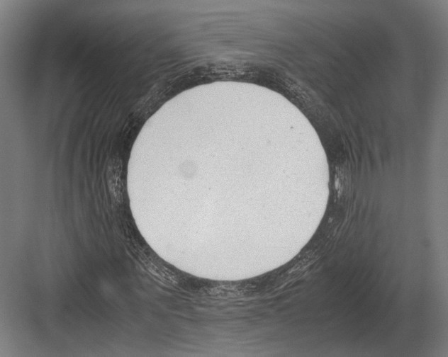 X0000081570867200702121419