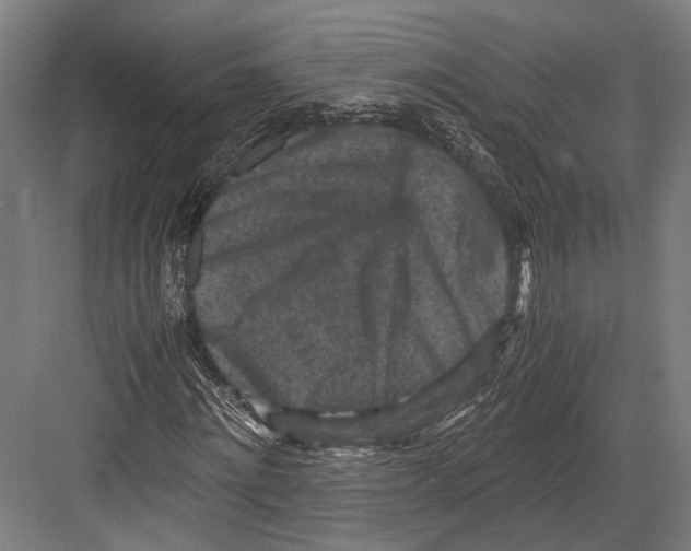 X0000081570868200702121419