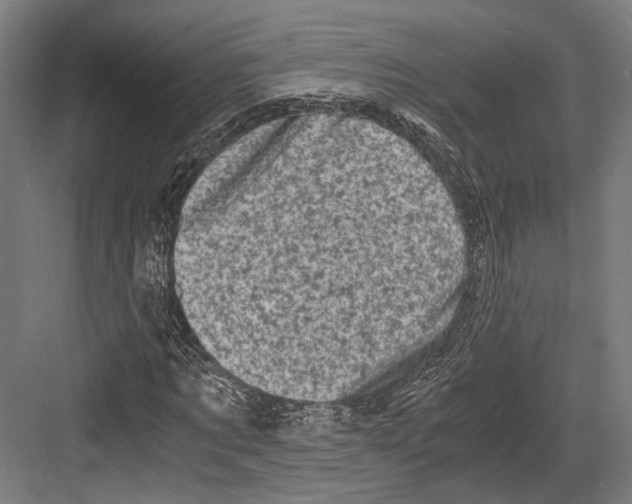 X0000081570869200702121419