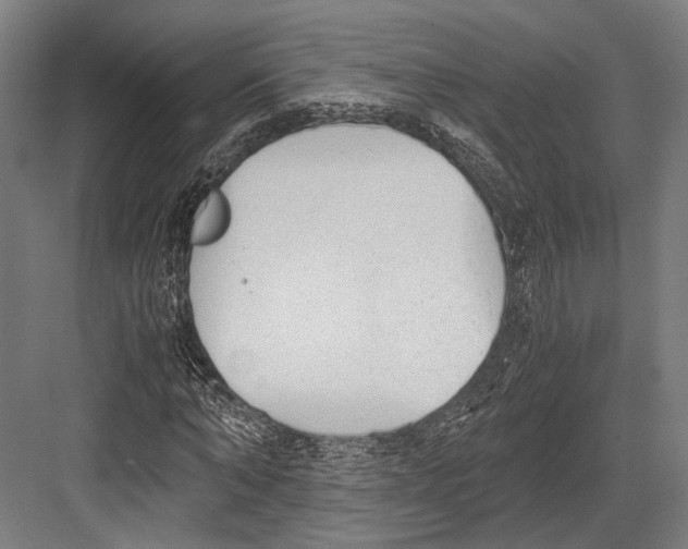 X0000081570870200702121419