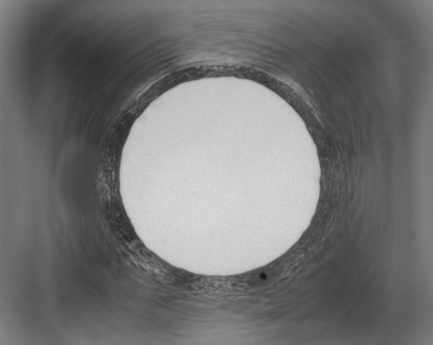 X0000081570871200702121419