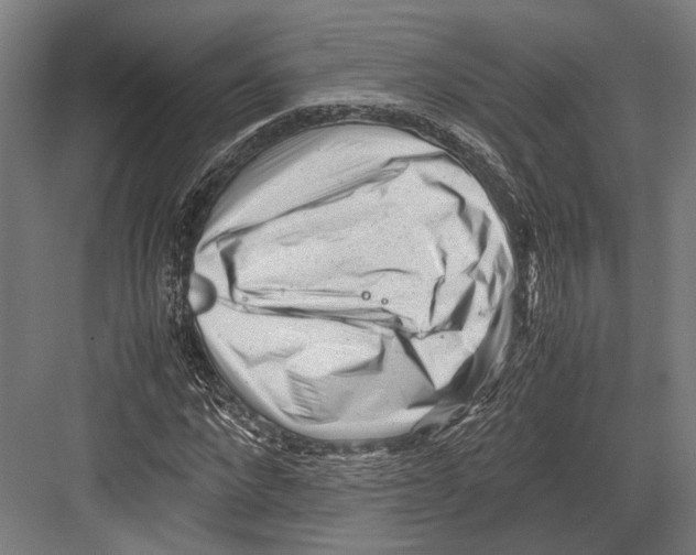 X0000081570872200702121419