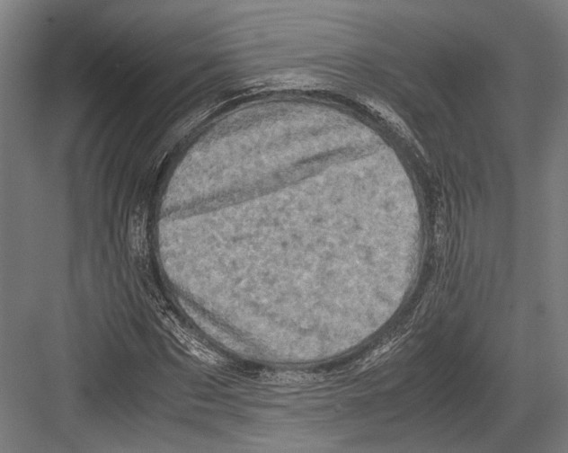 X0000081570873200702121419