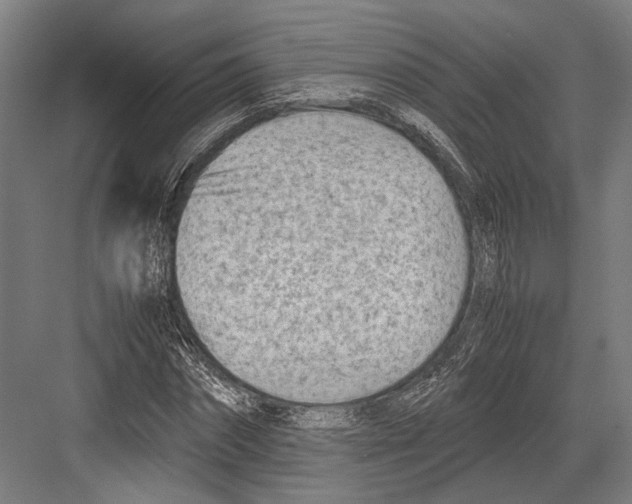 X0000081570874200702121419