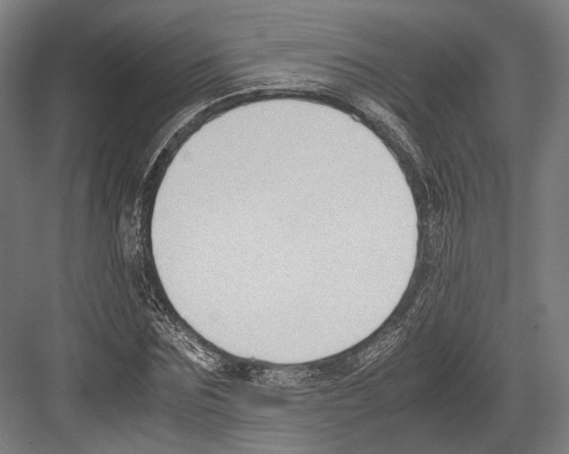 X0000081570875200702121419