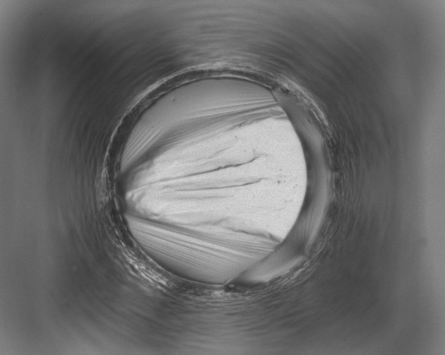 X0000081570876200702121419