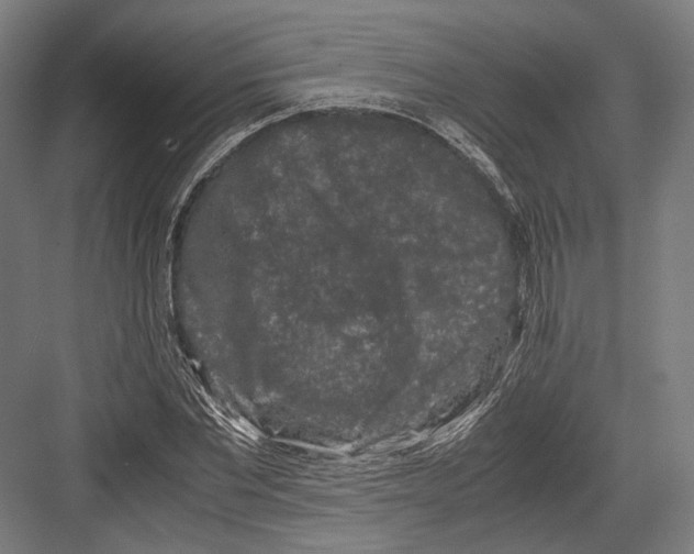 X0000081570877200702121419