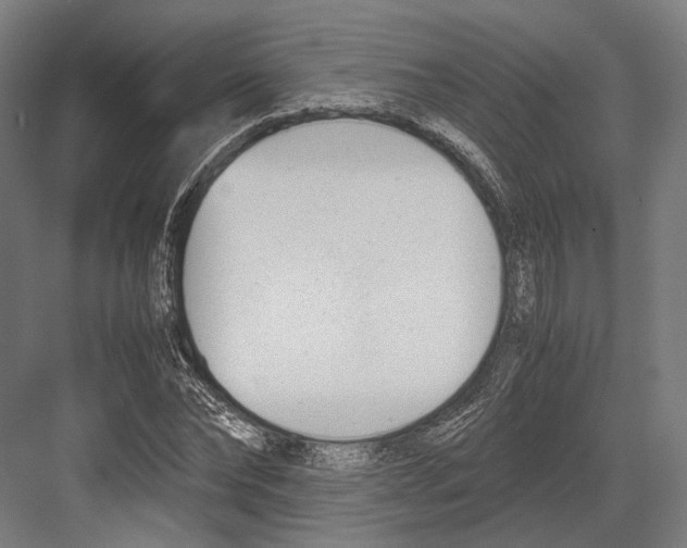 X0000081570878200702121419