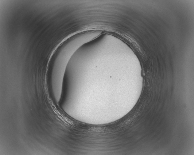 X0000081570880200702121419