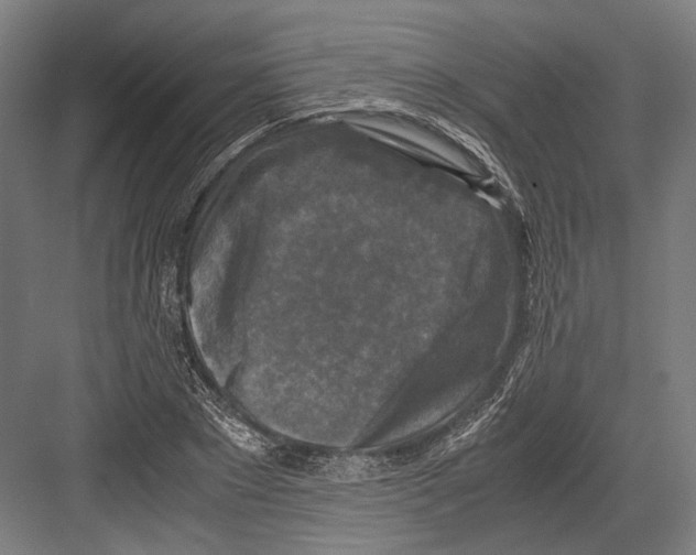 X0000081570881200702121419