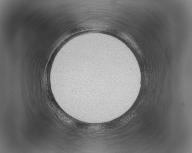 X0000081570883200702121419