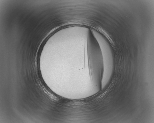 X0000081570884200702121419