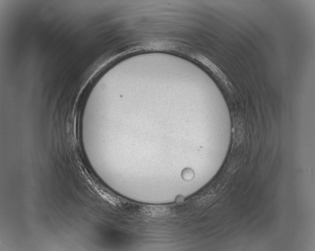 X0000081570886200702121419