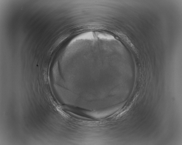 X0000081570889200702121419