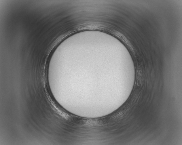 X0000081570890200702121419