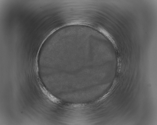 X0000081570892200702121419