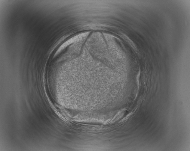 X0000081570893200702121419