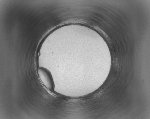 X0000081570894200702121419