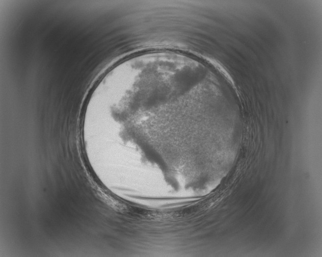 X0000081570895200702121419