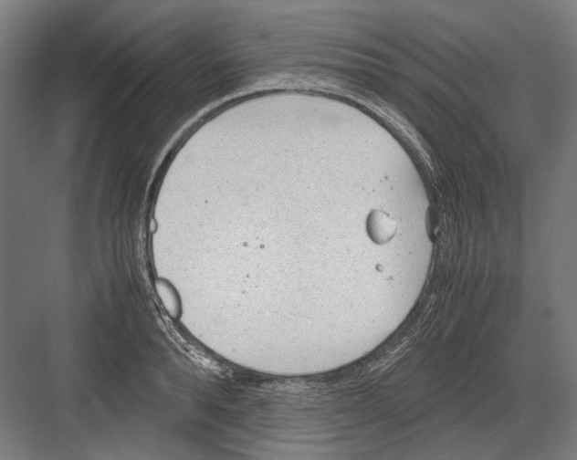 X0000081570896200702121419