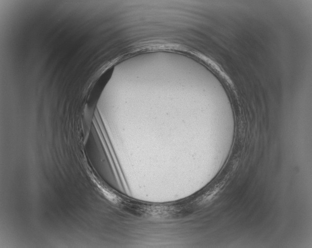 X0000081570897200702121419