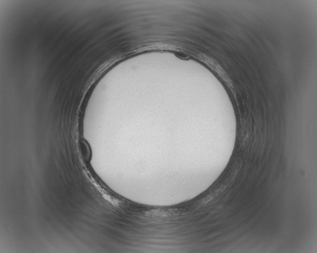 X0000081570898200702121419