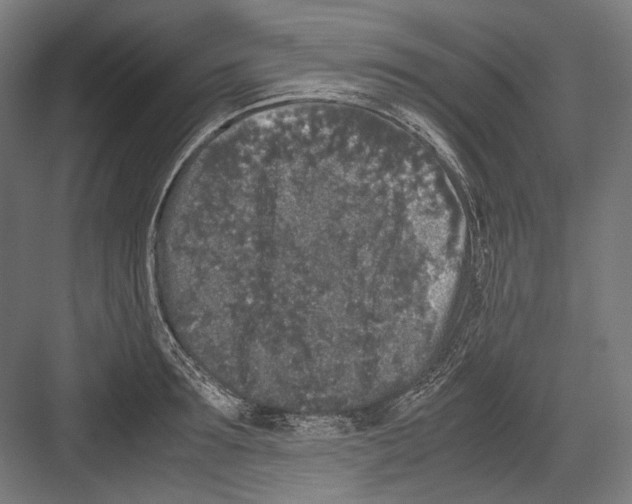 X0000081570899200702121419