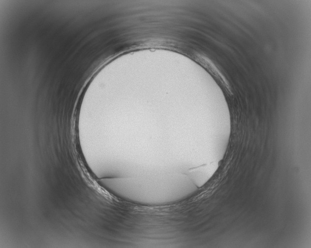 X0000081570900200702121419