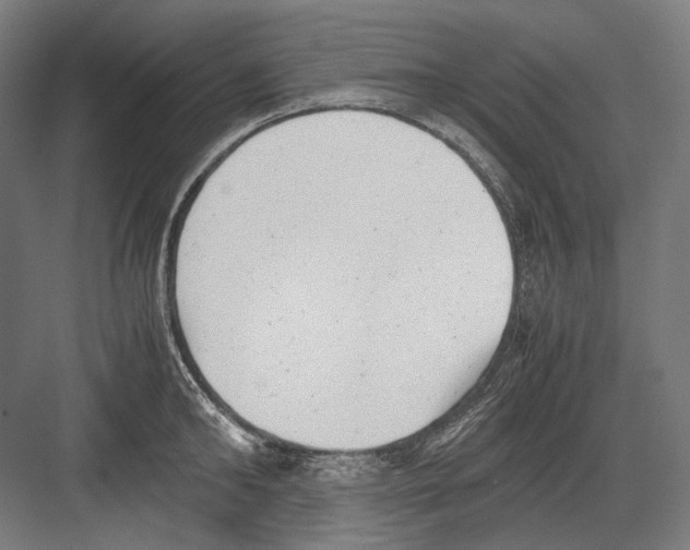 X0000081570902200702121418