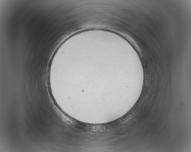 X0000081570903200702121418