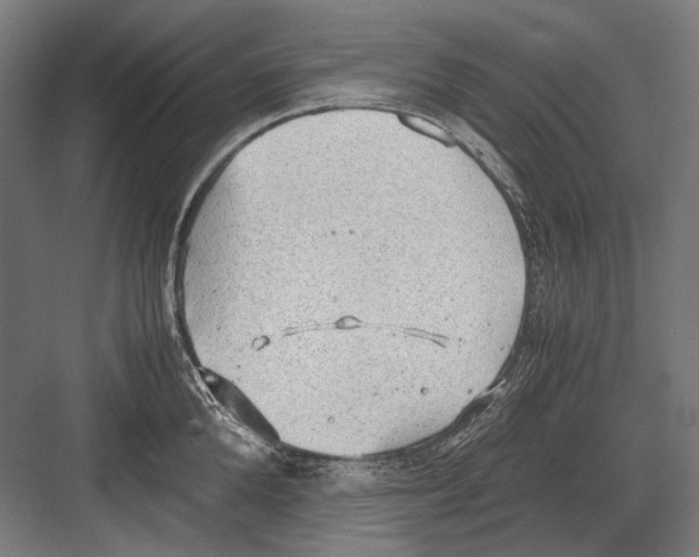 X0000081570904200702121418