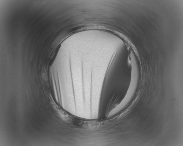 X0000081570905200702121418