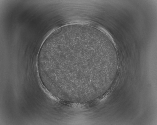 X0000081570907200702121418