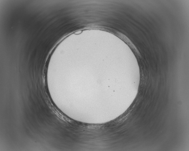 X0000081570908200702121418