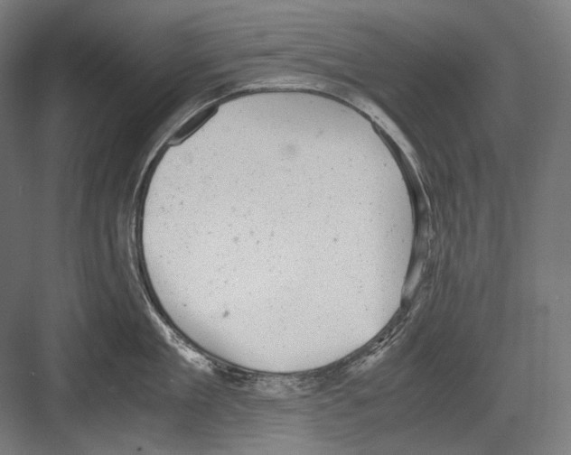 X0000081570909200702121418