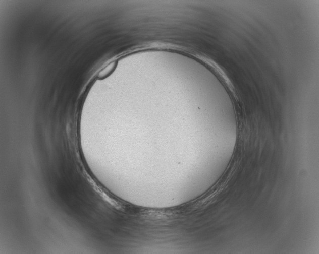 X0000081570910200702121418