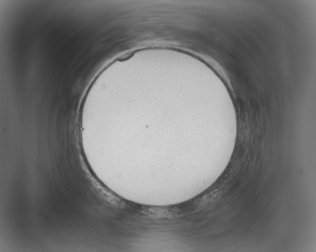 X0000081570911200702121418