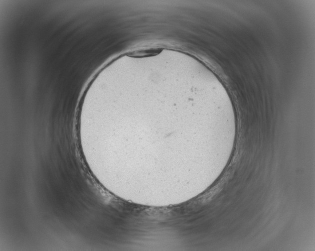 X0000081570912200702121418