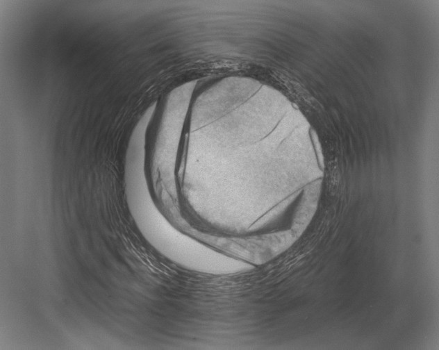 X0000081570916200702121418