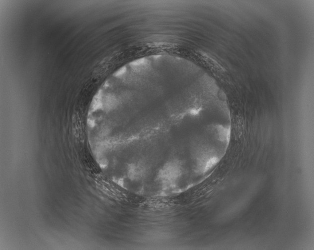 X0000081570917200702121418